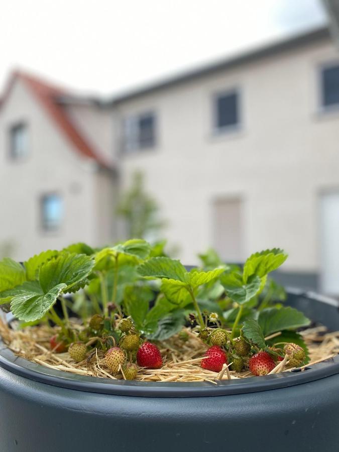 Fewo Sulzer Siedlung Erfurt "Haus 6" Apartment Bagian luar foto